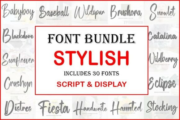 Download Stylish Font Bundle - Font Collection